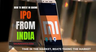 Xiaomi IPO: A Guide for Indian Investors