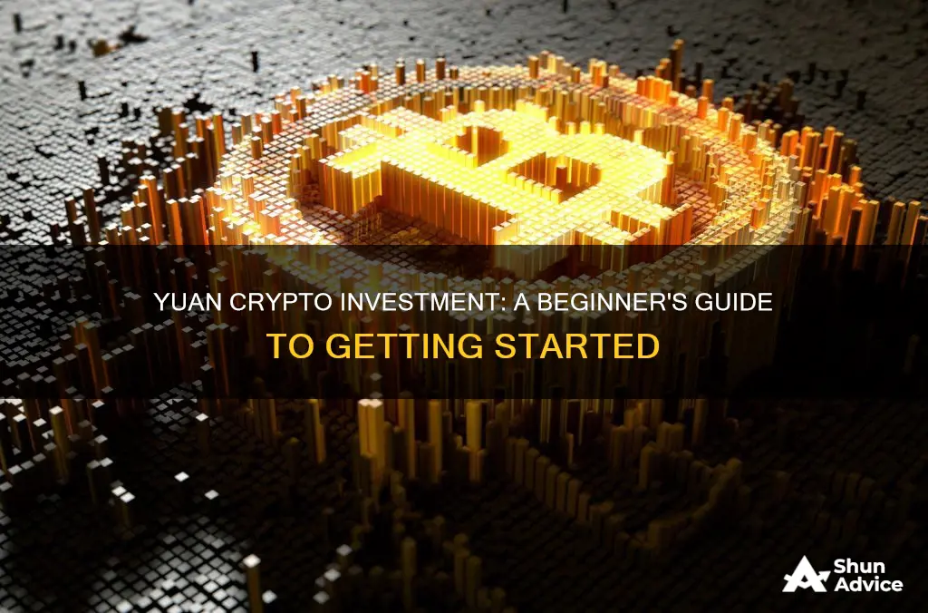 how to invest in yuan cryptocurrency