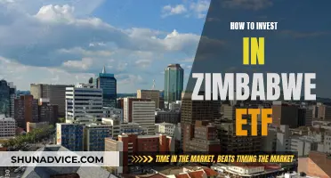 Invest in Zimbabwe ETF: A Guide to Getting Started