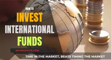 International Fund Investment: Strategies for Global Portfolio Success