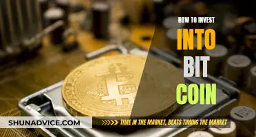 Bit Coin Investment: A Beginner's Guide to Crypto