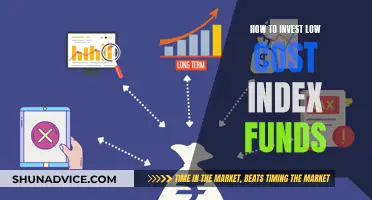 Invest Wisely: Low-Cost Index Funds for Long-Term Gains