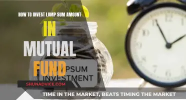 Lump Sum Mutual Fund Investment: Strategies and Best Practices