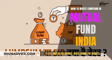 Lump-Sum Mutual Fund Investment Guide for Indians