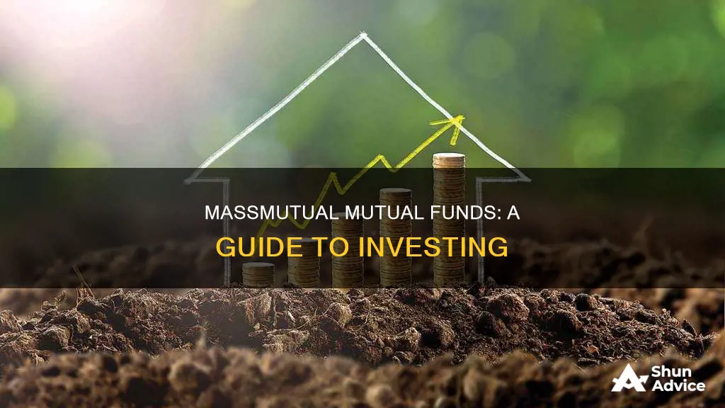 how to invest mass mutual mutual funds