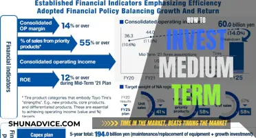 Unlocking Medium-Term Wealth: Strategies for Balanced Investment Success