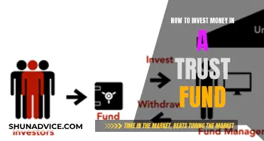 Trust Fund Investment: A Guide to Getting Started