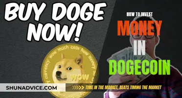 Dogecoin Investment Guide: Strategies for Beginners