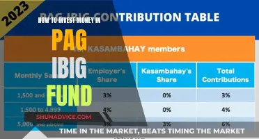 A Guide to Investing Money in Pag-Ibig Fund