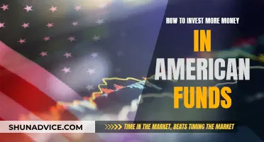 Invest Wisely: American Funds for Long-Term Financial Growth