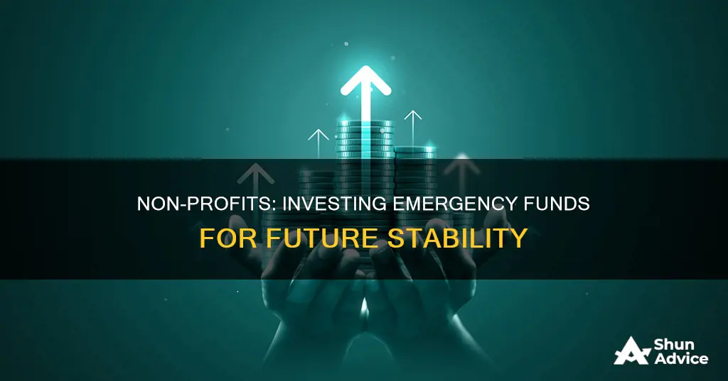 how to invest non-profit emergency fund