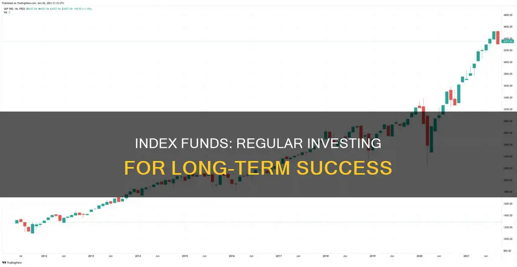 how to invest on regular intervals in index fund