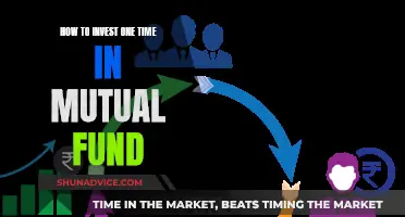 Mutual Fund Investment: A One-Time Guide to Success