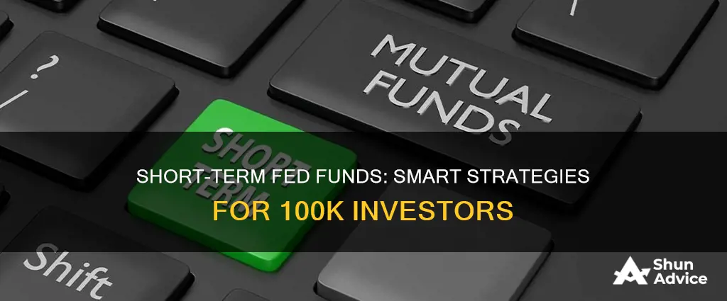 how to invest over 100k in short term fed funds