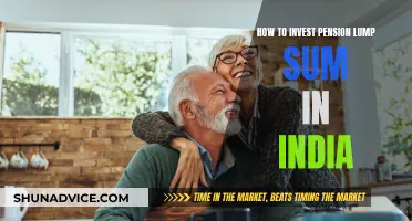 Investing Pension Lump Sum in India: A Guide