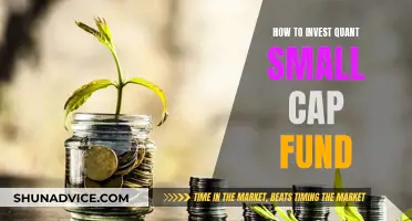 Quant Small Cap Fund: Smart Investing Strategies for Beginners