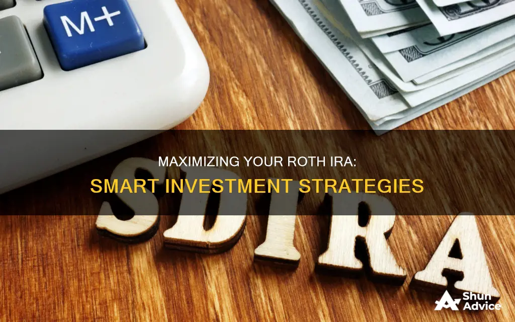 how to invest roth ira funds