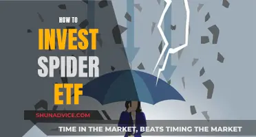 A Simple Guide to Investing in Spider ETFs