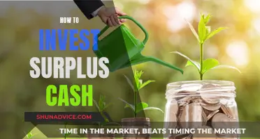 Surplus Cash Strategies: Smart Ways to Invest Extra Funds