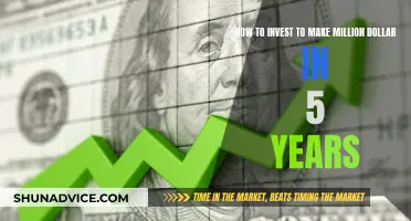 Invest Wisely, Make Millions: 5-Year Plan