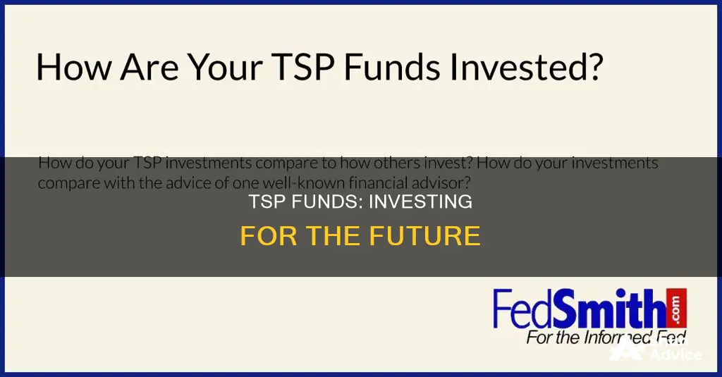 how to invest tsp funds