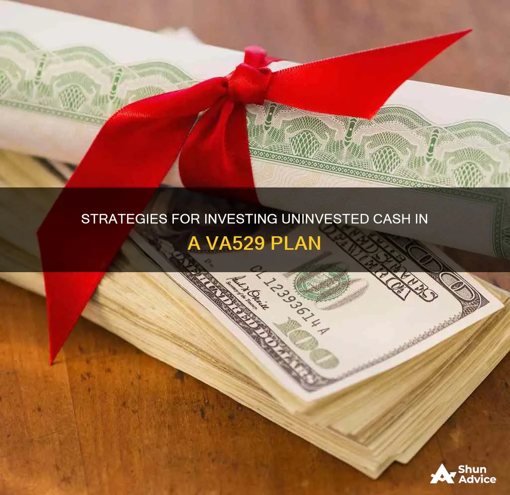 how to invest uninvested cash in va529