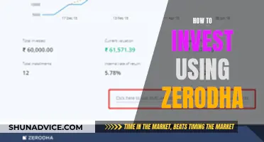 A Beginner's Guide to Investing with Zerodha