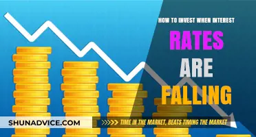 Navigating the Storm: Strategies for Investing in a Falling Interest Rate Environment