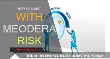 Invest Wisely: Moderate Risk, Smart Rewards