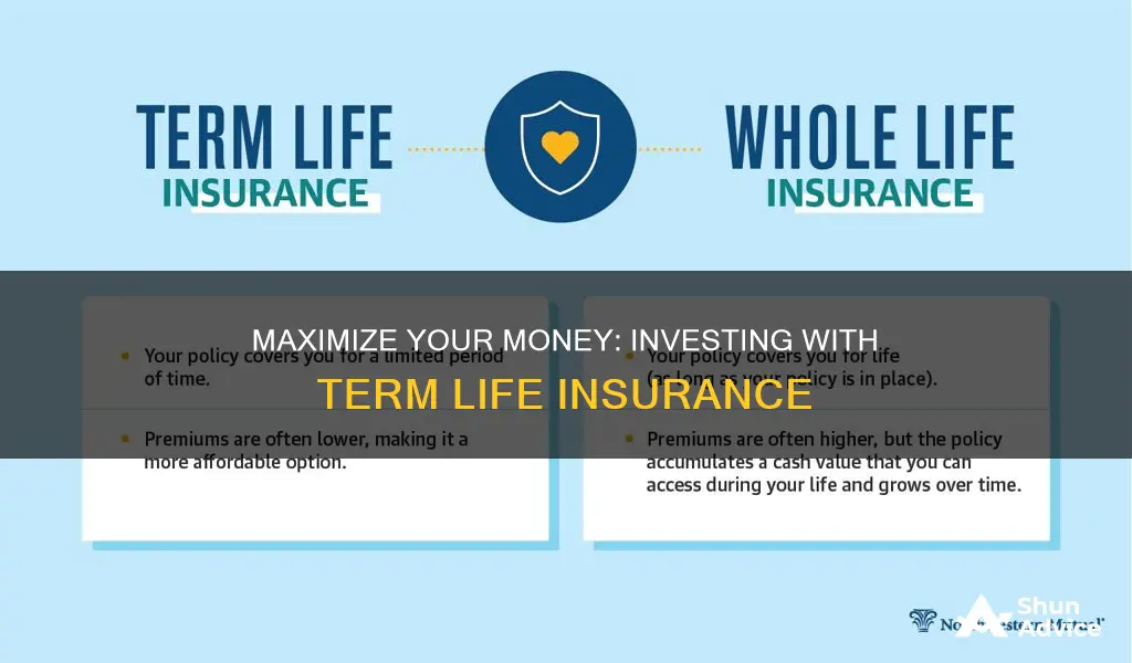 how to invest with term life insurance