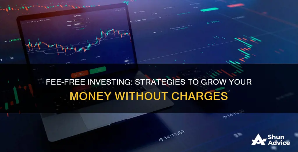 how to invest without paying fees