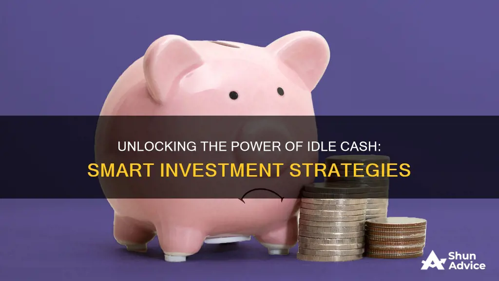 how to invest your idle cash