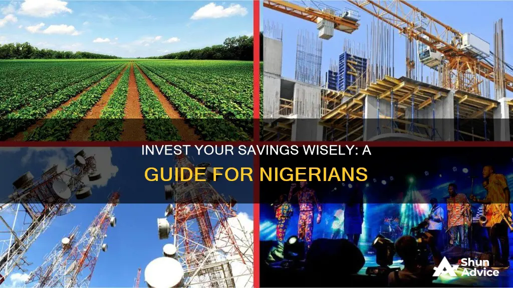 how to invest your savings in nigeria