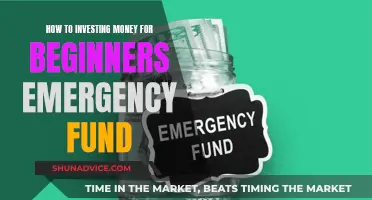 Beginner's Guide to Emergency Funds: Investing for the Unexpected