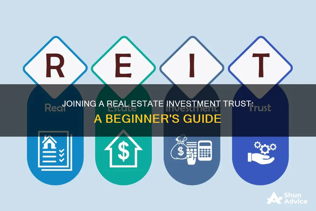 how to join a real estate investement trust fund