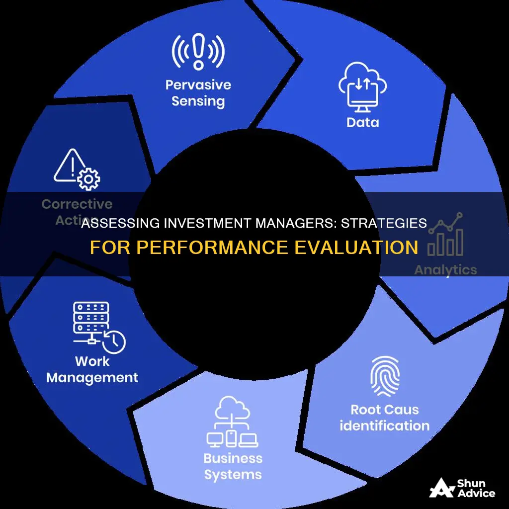 how to judge the performance of investment manager