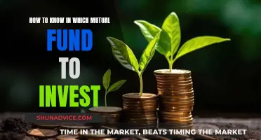 Mutual Fund Investment: Choosing the Right One