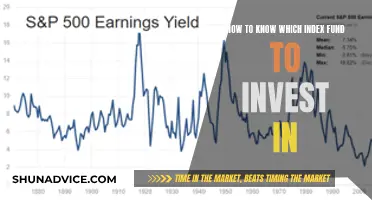 Index Funds: Choosing the Right Investment for You