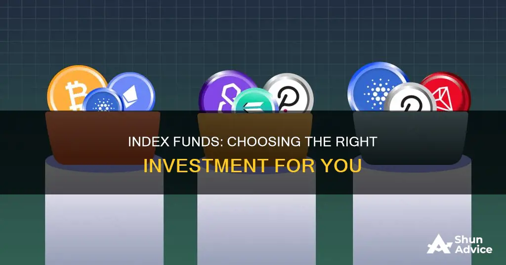 how to know which index fund to invest in