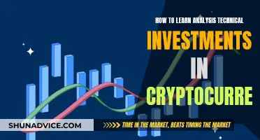 Analysis Techniques for Crypto Investment: A Beginner's Guide