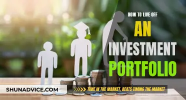 Investment Portfolio Strategies for a Comfortable Retirement