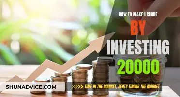 Smart Investing: 20K to 1 Crore