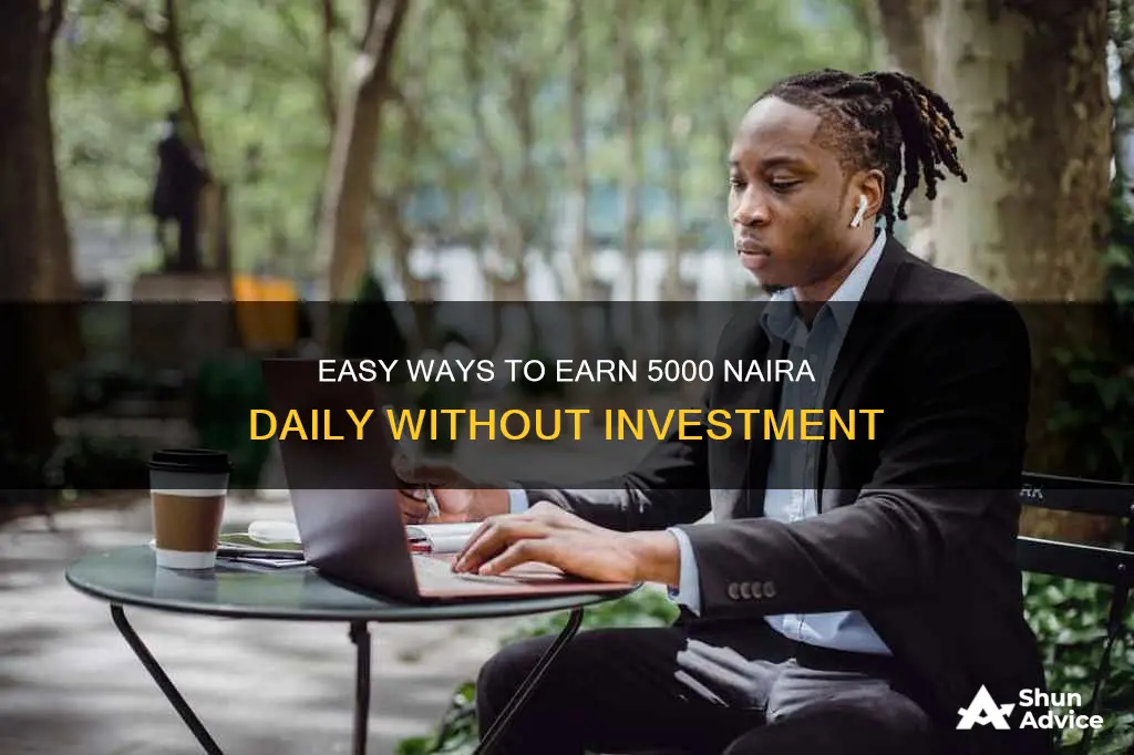 how to make 5000 naira daily without investment