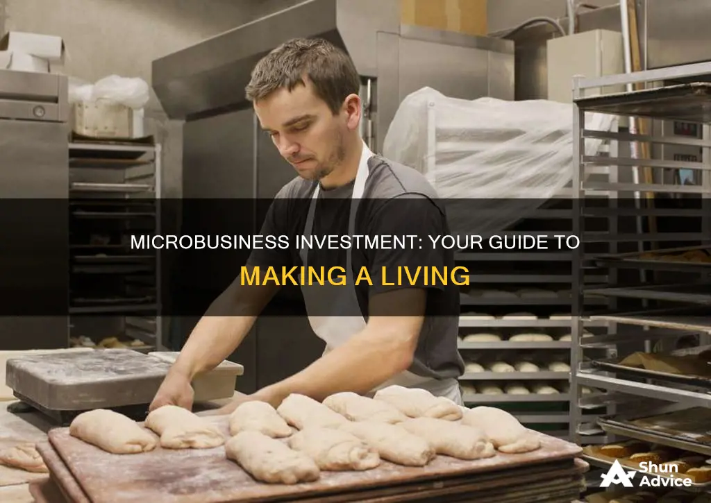 how to make a living on investing in microbusiness