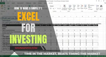 Creating a PL Excel: Investing Basics