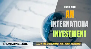 International Investment: Strategies for Global Portfolio Success