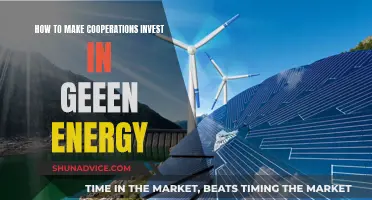 Encouraging Corporations to Invest in Green Energy