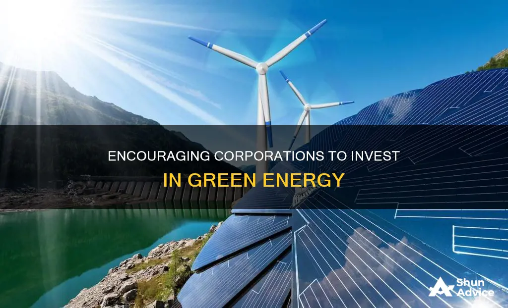 how to make cooperations invest in geeen energy