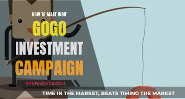 Indie-Gogo Campaigning: Strategies for Investment Success