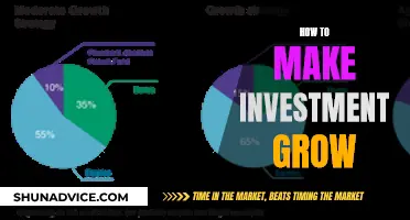 Invest Wisely: Strategies to Grow Your Money